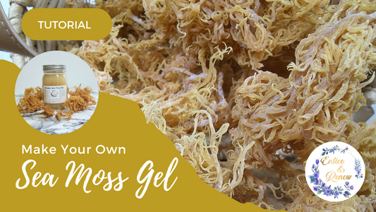 Golden Sea Moss