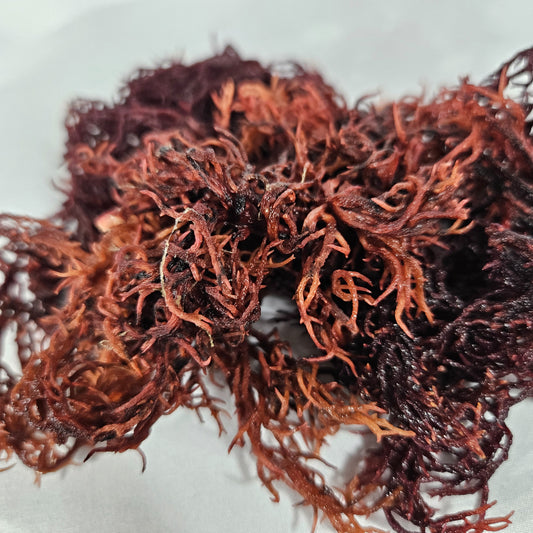 Raw Purple Sea Moss