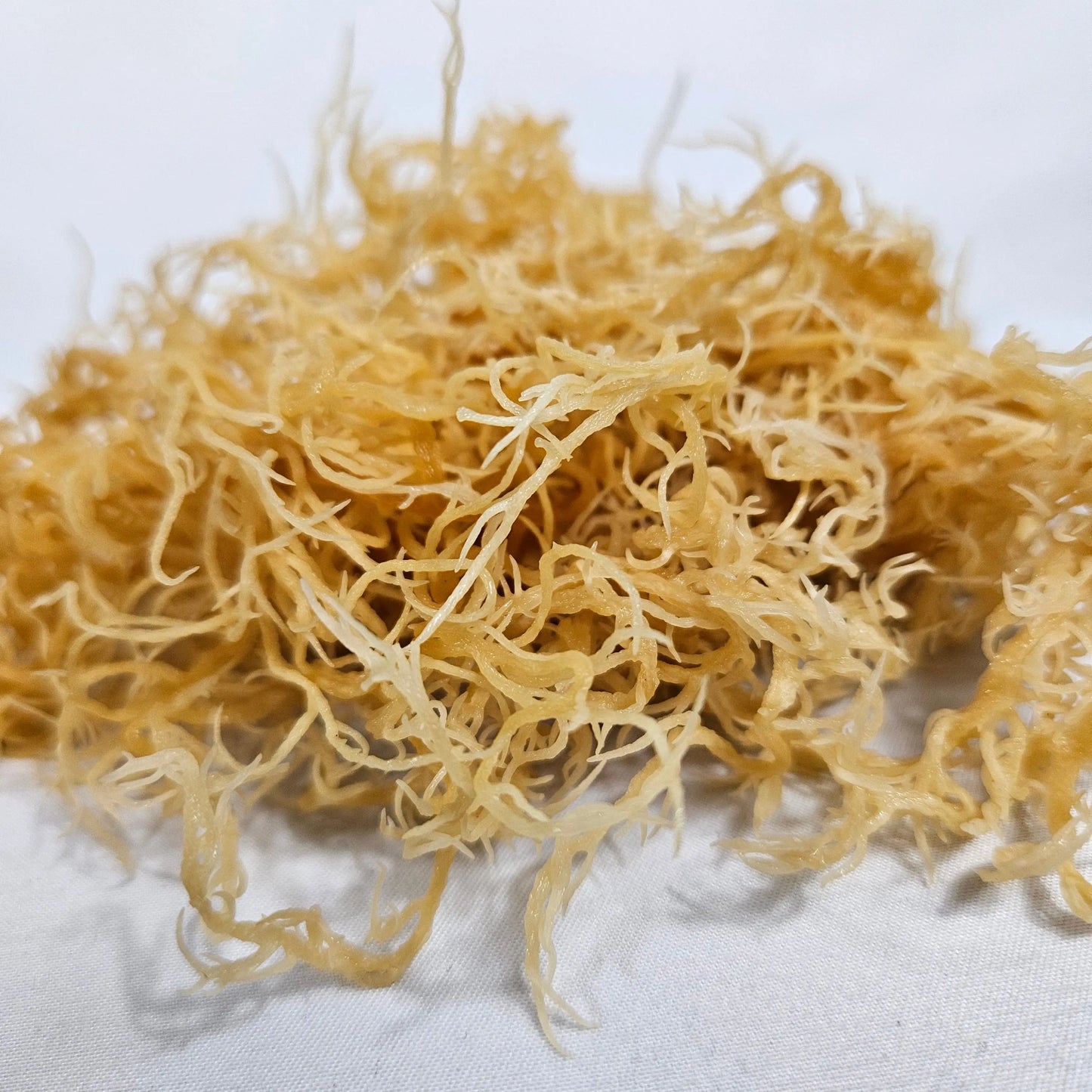 Raw Golden Sea Moss Entice & Renew, LLC